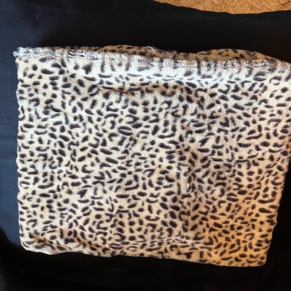 Leopard Print Collar